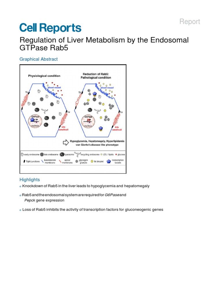 Von Gierke's Disease | Glycolysis | Glycogen