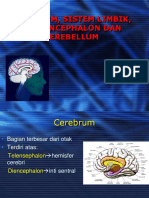Cerebrum, Limbik, Rhinencephalon, Cerebellum