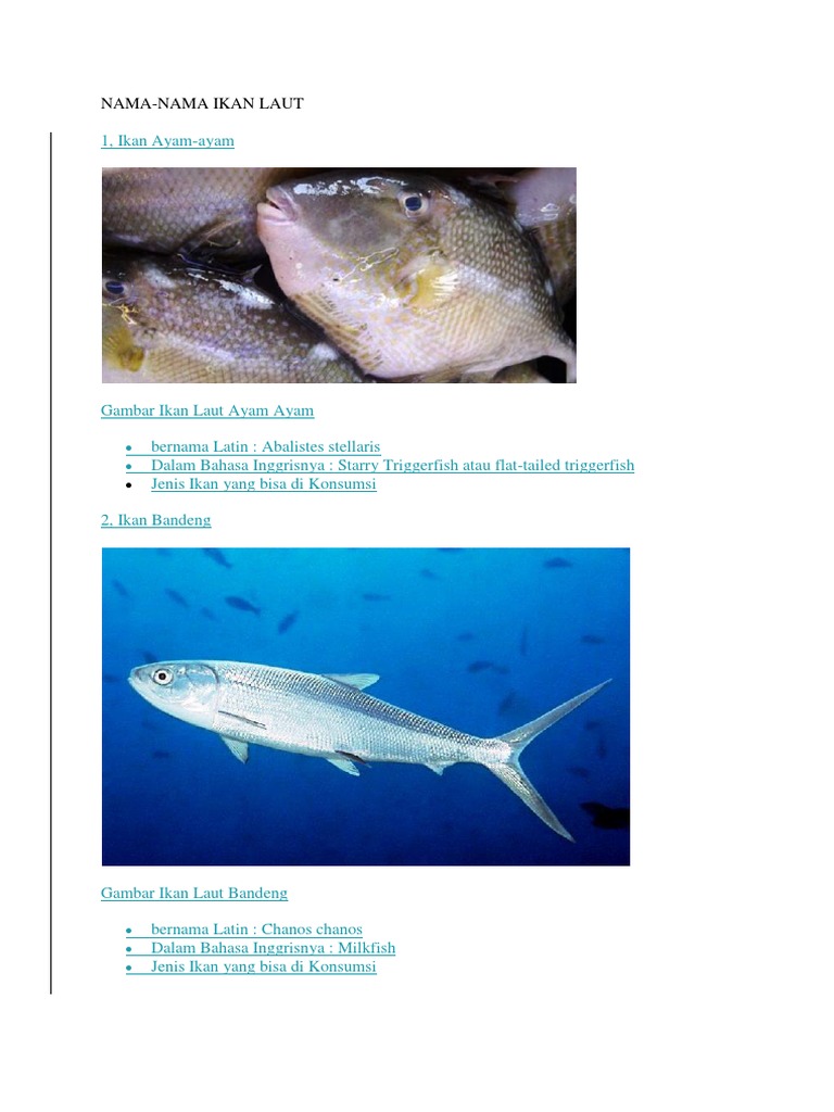 Nama Ikan Laut Pdf