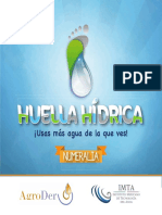 HuellaHidrica Numeralia - AgroDer_Imta.pdf