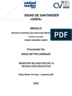 SISTEMA DE GESTION.pdf