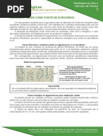 02 Adubaçao verde como fonte de nitrogenio.pdf.pdf
