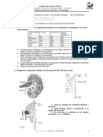 Guia de Sistema Renal Actividades