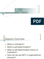Self Determination Theory