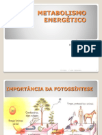 Fotossíntese e metabolismo energético