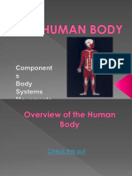 Overview of The Human Body