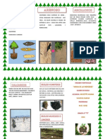 Tripticos Tipos de Suelo