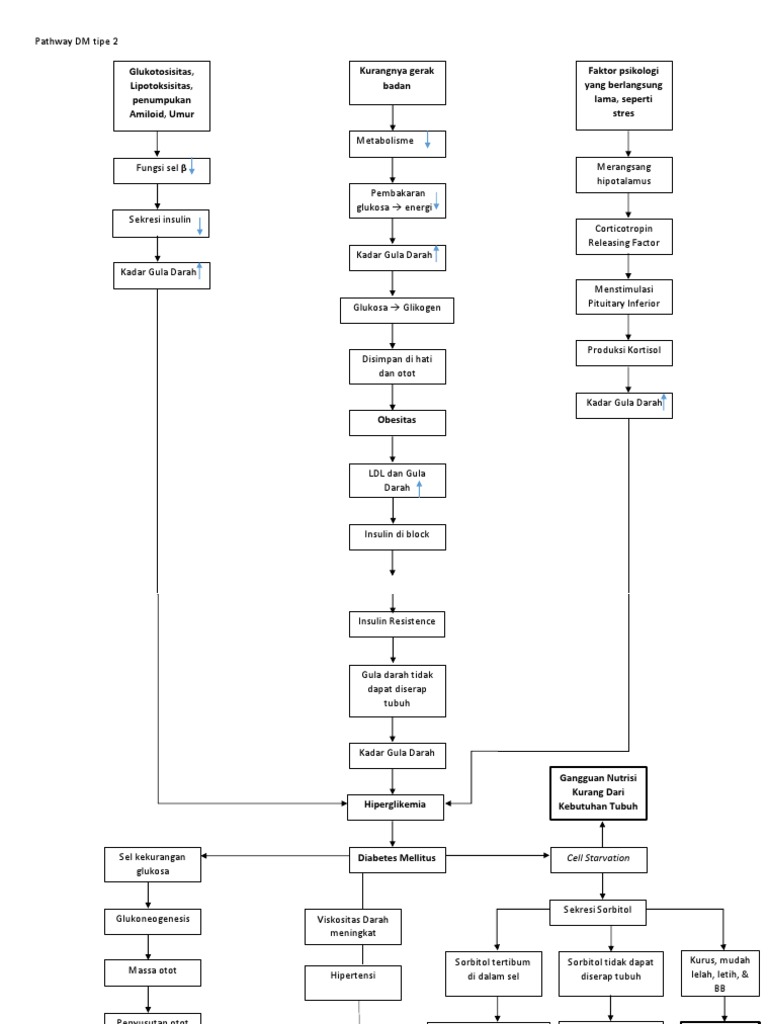 Pathway Dm Tipe 2