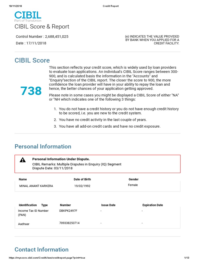 Credit Report PDF Credit History Credit