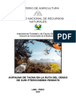 Avifauna de Tacna en la ruta del censo de suri Pterocnemia pennata.pdf