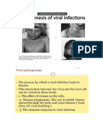 Virus Patógenos.docx