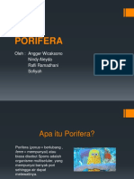 Powerpoint Porifera