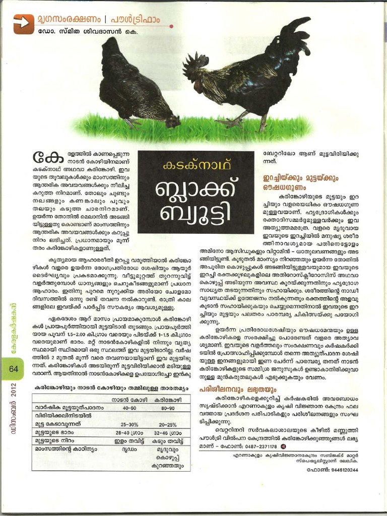 Karinkozhi (Kadaknath) Dec 2018 New PDF PDF