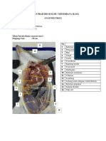 Laporan Praktikum Ilmu Vertebrata Hama