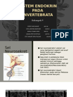 Sistem Endokrin Inverterbrata 