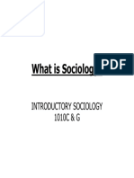 SOCIOLOGY INTRO.pdf