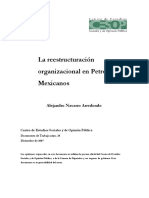 Documento_25_Pemex.pdf