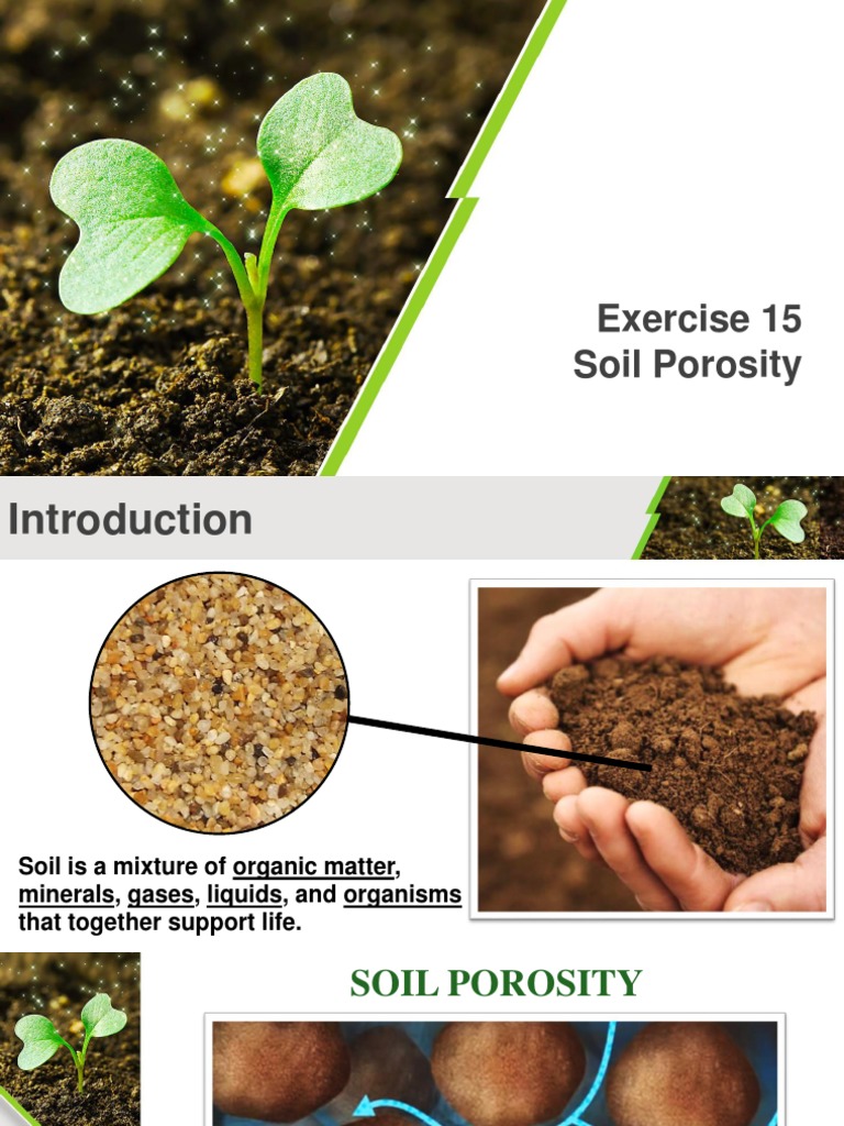 Exercise 15 Soil Porosity Porosity Soil