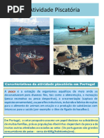 recursos maritimos