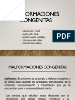 Clase 3 - SG1- Malformaciones Congenitas