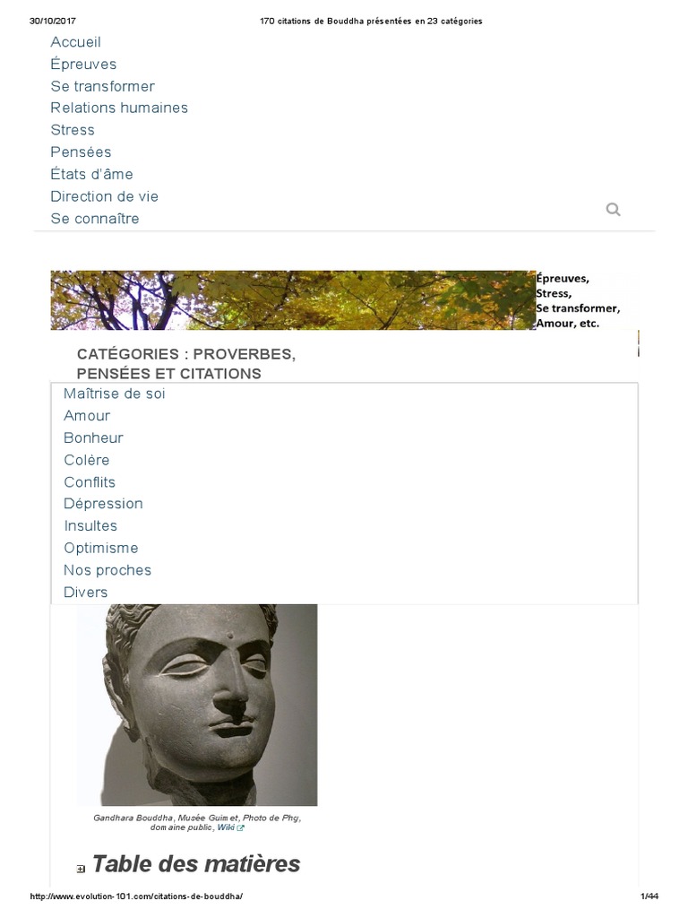 170 Citations De Bouddha Presentees En 23 Categories Pdf Bonheur Siddhartha Gautama