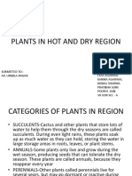 Plants in Hot and Dry Region