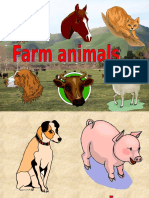 Animals