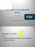 Possible Causes of Neuralgic Pain in the Trigeminal System