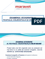 Ecografia Ficatului PDF