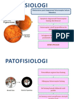Retina Pigmentosa PPT FIX