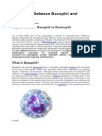 Difference Between Mast Cell and Basophil