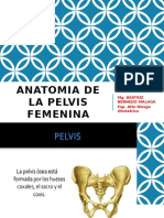 Anatomia de La Pelvis Femenina