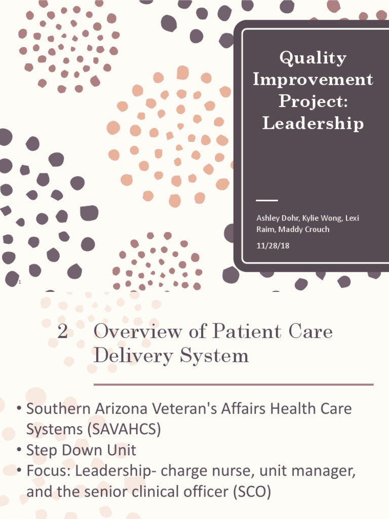 Qip Leadership PDF Health Care Nursing