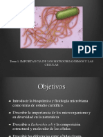 IMPORTANCIA DE MICROORGANISMOS.ppt