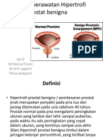 Auhan Keperawatan Hipertrofi Prostat Benigna