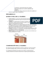 Estructura de la madera.docx