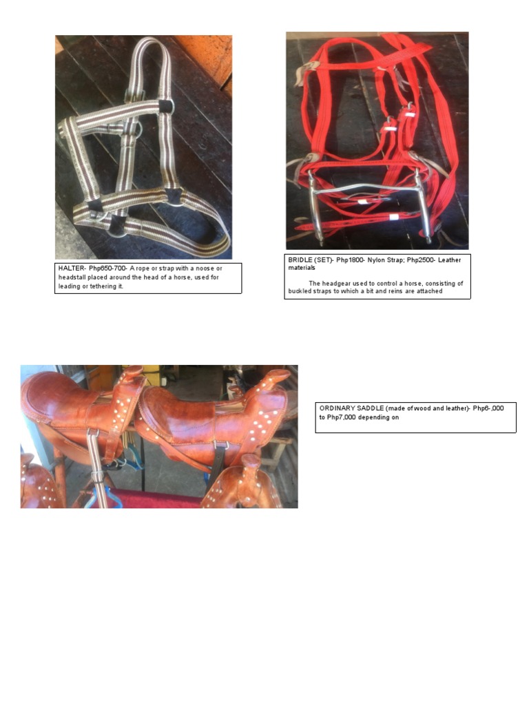 Horse Tack Pricing Guide | PDF
