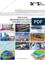 Geological & Petroleum Geoscientific Course Catalogue - Dimension Strata Brunei