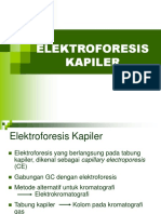Elektroforesis-Kapiler.ppt