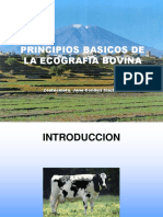 CURSO BASICO DE ECOGRAFIA BOVINA.ppt