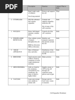 Cell Organelles Worksheet