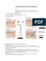 HEMOSTASIS DAN INFLAMASI