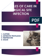 Bundles of Care in Surgical Site Infection