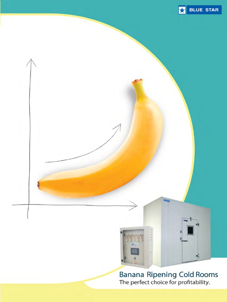 Banana Ripening 11-6-14 | PDF