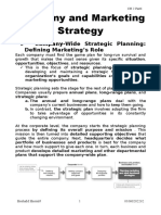 Company strategic planning and business portfolio analysis