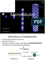 Microtúbulos.pptx