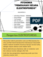 Ppt Fitokimia Kel 3 Elektroforesis