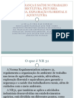 Nr-31 - Segurança e Saúde No Trabalho Na