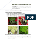 familiasdevirusfitopatgenos-121031220133-phpapp01.pdf