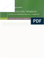 Derecho individual de Trabajo. IRENE ROJAS MIÑO.pdf